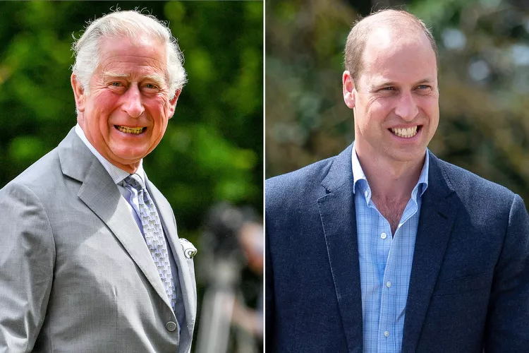 Prince William speaks into light the much anticipated coronation speech